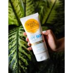 Bondi Sands Fragrance Free Daily Sunscreen Face Lotion SPF 50 — Hydrating, Non-Greasy UV Protection (2.53 oz / 150 mL)
